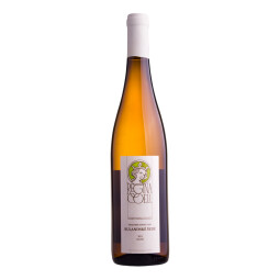 Bílé vino Rulandské šedé zemské 750 ml