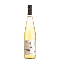 Víno bílé Tramín červený Syfany 750 ml