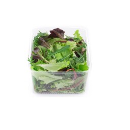 Salát mesclun vanička 125 g