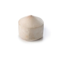 Kokosový ořech mladý 1 kg