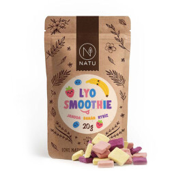 Lyo smoothie mix NATU 20 g